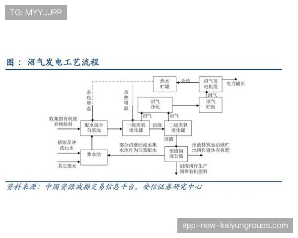 信使保护机制全方位解读：为何辅助位更需关注周边视野？（423 ）